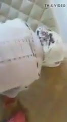 Pr. Turban doggy