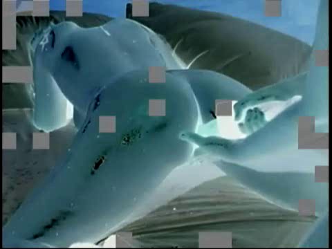 AWizardOfAss - Anal Gypsy Girl 2