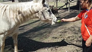 I was excited to see the size of a horse's penis !!! I wanted my boyfriend to focus like this !!! Paty Butt, El Toro De Oro